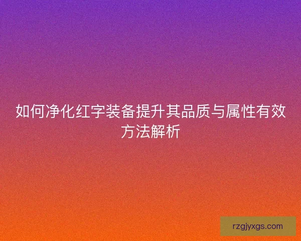 如何净化红字装备提升其品质与属性有效方法解析