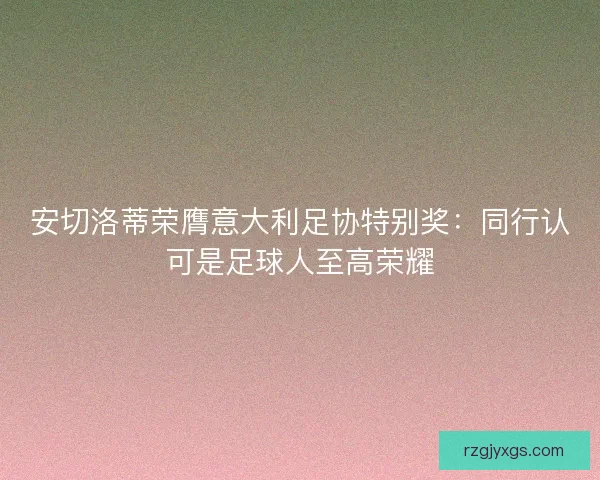 安切洛蒂荣膺意大利足协特别奖：同行认可是足球人至高荣耀